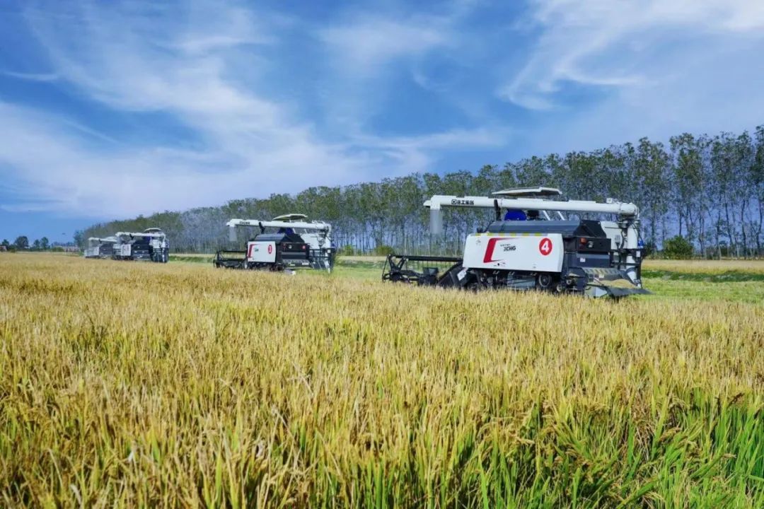 云顶集团·(中国区)最新官方网站